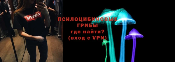 Альфа ПВП Арсеньев