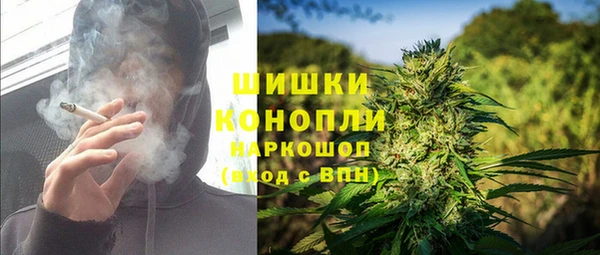 молекула духа Алексеевка