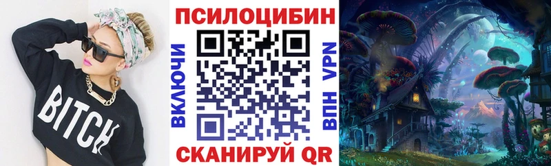 Галлюциногенные грибы прущие грибы  как найти   Стародуб 
