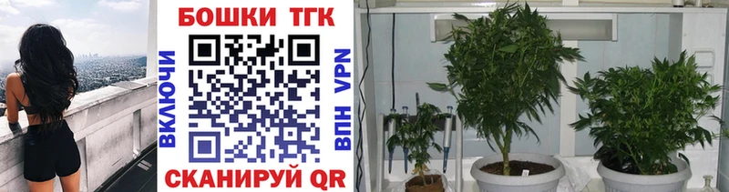 даркнет телеграм  Стародуб  Бошки марихуана ГИДРОПОН 